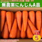 無農薬人参洗い5kg  A品