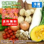 有機野菜入りこだわり野菜セット(8〜10品入り)【送料無料】