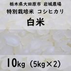 【白米10kg】特別栽培米コシヒカリ 2