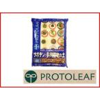 プロトリーフサボテン多肉植物の土1...