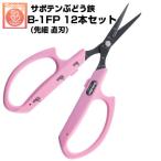 ( бесплатная доставка . выгодный 12 шт. комплект ) виноград . кактус прямой лезвие NO.B-1FP ( кактус виноград ножницы . шарик . произведение .. шкала есть легкий нержавеющая сталь фтор пальто усталость трудно )