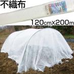 個人宅OK シンセイ 農業用 不織布 120cm X 200m ロール 1.2m 防霜 防鳥 防虫 保温 農業資材 園芸 トンネル べたがけ 印字なし 梱包 包装 ラッピング