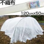 個人宅OK シンセイ 農業用 不織布 120cm X 50m ロール 1.2m 防霜 防鳥 防虫 保温 農業資材 園芸 トンネル べたがけ 印字なし 梱包 包装 ラッピング