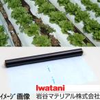岩谷 イワタニ 菜園用 リバースマルチ白黒 0.02mm X 135cm X 50m 地温抑制 家庭菜園 夏場の栽培に