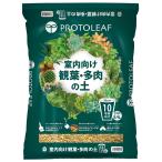 Pro to leaf салон предназначенный . лист много мясной земля 10 номер горшок для 8.4L x 5 входить хочет .. используется без шарик форма. сырье только. cубстрат декоративное растение . суккулентное растение специальный 