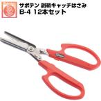 ( бесплатная доставка. выгодный 12 шт. комплект ) виноград . кактус .. catch ножницы NO.B-4 (.. catch .... сердцевина виноград .. порезав . черепаха . с одной стороны ... виноград сельское хозяйство дом )