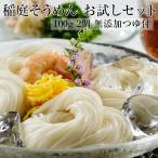 そうめん 稲庭そうめん お試しセット 2人前(100gx2) 無添加つゆ付 稲庭うどん小川