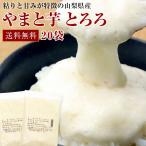 とろろ 山梨県産 やまと芋 冷凍 とろろ 50g x 20袋 送料無料 父の日/おつまみ/大和芋/とろろ蕎麦/山かけ