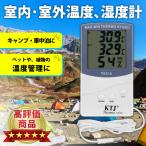 デジタル温度計 湿度計 車中泊 業務用 2点測定 登山 屋外 温度差 同時測定 高精度