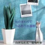 ペーパー加湿器 ミスティープランツ エコ加湿器 電気不要 自然気化式 花 植物 自然 うるおい ペーパー加湿器 エコ 卓上 ミクニ