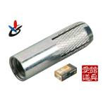 サンコーテクノ CT-1040 シーティーアンカー CT型スチール（三価クロメート処理）♀M10×全長40mm (50本入)