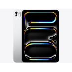 APPLE iPad Pro IPAD PRO 11 WI-FI 1TB 2025 NAN