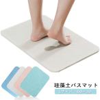 珪藻土バスマット バスマット 珪藻土 マット 珪藻土マット Lサイズ 60cm###珪藻土S6039-###