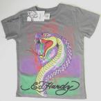 エドハーディー Tシャツ 男の子 女の子 2-7才 半袖 コブラ/グレイ 5BG210DCOB Ed Hardy Kids Baby Cobra Flock EDHARDY 0023