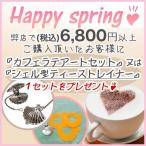 春到来♪プレゼントキャンペーン☆ 税込6,800円以上ご購入...