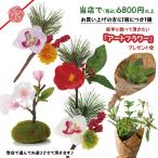 プレゼント企画♪弊店で(税込)6800円以上ご購入頂いた方に クリスマスペーパーナプキン 1個 プレゼント中〜!