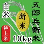 令和7年　新米　10kg コシヒカリ 10キ