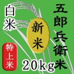 コシヒカリ　令和5年