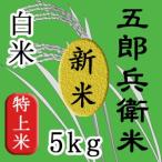 新米　令和７年　5kg コシヒカリ　
