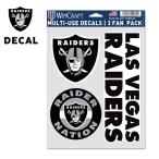レイダース ステッカー デカール ロ