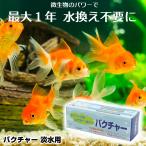 ショッピング金魚 バクチャー 水槽 水質浄化活性石 水槽用バクチャー(淡水用)60L用 水質調整剤 水槽の水換え不要1年間 金魚 淡水魚 お手入れ バクテリア 送料無料 ばくちゃー