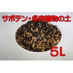  кактус * суккулентное растение. земля 5L