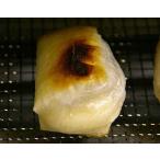 令和7年会津こがねもち白米5kg 送料無料 沖縄、離島は不可 「ふくしまプライド。体感キャンペーン（お米）」