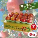 [ подарок по случаю конца года ] юг Shinshu производство солнечный .. яблоко примерно 5kg Shinshu производство Nagano префектура производство . лет ... для производство прямой фрукты ваш заказ [ последовательный отправка ][ подарок ][99]