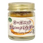 オーガニックカレーパウダー 20g 井上スパイス