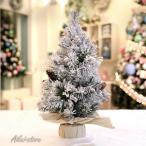 игольчатое дерево обнаженный tree елка настоящий подлинный товар целиком модный изобилие . ветка число momi. сосна подробно внешний вид елка магазин оборудование орнамент открытие праздник . новое здание праздник .