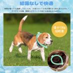 アイスリング クールリング お出かけ L 男性にオススメ 横14cm 2色 2点入り DEWEL 循環利用 空気入れ不要 注水不用 冷感 ペット熱中症対策 破裂にくい 暑さ対策