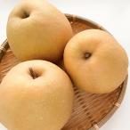  подарок по случаю конца года фрукты производитель прямая поставка бесплатная доставка Tottori префектура производство . осень груша [3.5kg] AF-ON3.5kg наложенный платеж отсроченный платеж не возможно подарок 