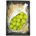 お歳暮 フルーツ メーカー直送 送料無料 長野県産 シャインマスカット 代引き後払い不可 ギフト