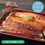 父の日 プレゼント 送料無料 メーカー直送 【父の日専用】 大森淡水 国産うなぎ蒲焼(長焼2尾) 代引き後払い不可品 お申込日6/15まで