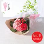 母の日 花 【母の日専用】メルシー・ブーケ 代引き後払い不可品 申込日5/13まで