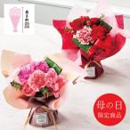 母の日 花 【母の日専用】そのまま飾れる 母の日ブーケ ピンク 代引き後払い不可品 申込日5/13まで