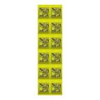 ERNIE BALL 2221×12セット REGULAR SLINKY[10-46]