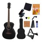 Legend FG-15/BK безупречный 11 позиций комплект ARIA/ Aria Family * бренд / начинающий рекомендация введение комплект 