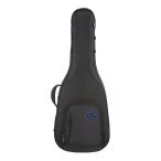 Reunion Blues RBC23SH semi ako для gig сумка Expedition серии 