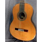 ショッピングギター ARIA A-50C アリア クラシックギター セダー単板トップ