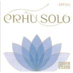 高級二胡弦 Thomastik Infeld ERP-101 トマスティック 中国二胡用 弦セット