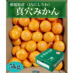 真穴みかん　愛媛県産（JAにしうわ） ご家庭品　M~Lサイズ　５kg