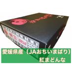 赤秀　3Lサイズ「紅まどんな」　愛媛県産(JAおちいまばり)　10個入り