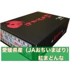 青秀【3Lサイズ】「紅まどんな」　愛媛県産(JAおちいまばり)　化粧箱　10個入り