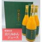 真穴みかんジュース　愛媛県産　果汁100％　720ml　3本入り　みかん　柑橘