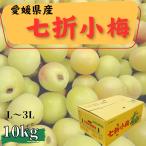 七折小梅(JAえひめ中央) 愛媛県産 L~3Lサイズ 10kg ななおれ梅組合 小梅 梅 砥部町