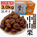 ���R�I�@���I�@���I�@3L�T�C�Y�@���Q���Y�i���Ђ�JA�����j�@��3.0kg�@�嗱�@���������@�݂���񔠁@�N�[����