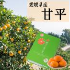 ショッピング甘平 甘平（かんぺい）愛媛県産　化粧箱　秀品　L〜3L(15個〜10個)　送料無料