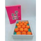 愛媛県産（JA松山市）　紅まどんな　秀品　化粧箱　L~4Lサイズ　