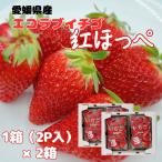  Ehime префектура производство [....]2L размер 4P(2P входить 1 коробка ×2) JA Ehime хочет .